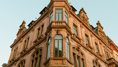 Morbi vehicula ligula eu blandit ornare